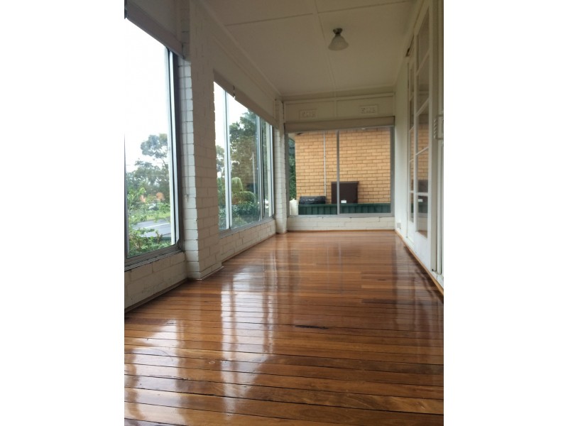 17 Wassell Street, Chifley NSW 2036
