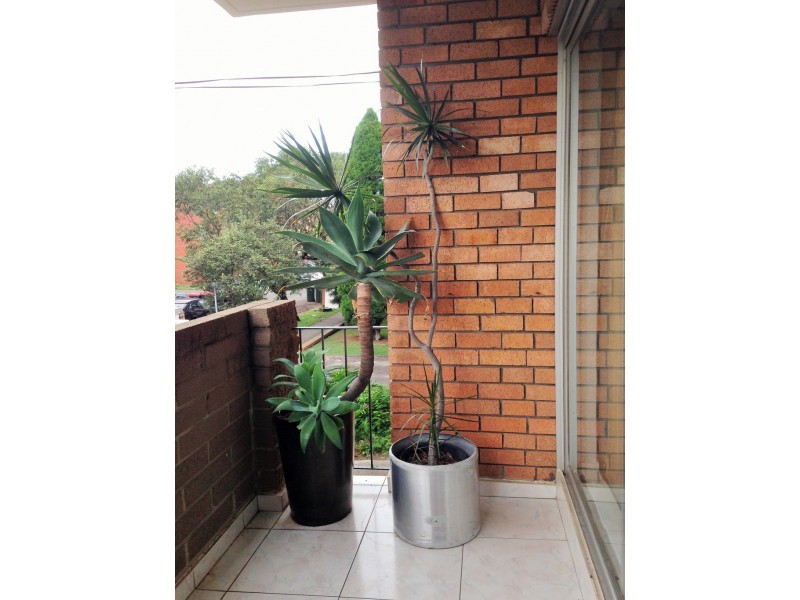 1/6 Grace Campbell Crescent, Hillsdale NSW 2036