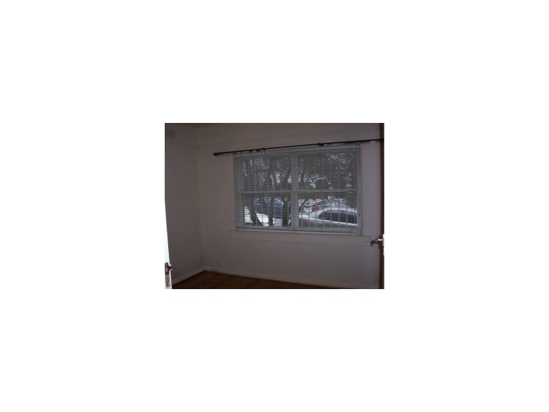 1/2 Paul Street, Bondi Junction NSW 2022