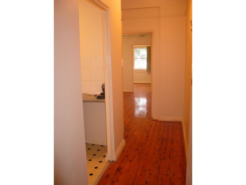 1/2 Paul Street, Bondi Junction NSW 2022