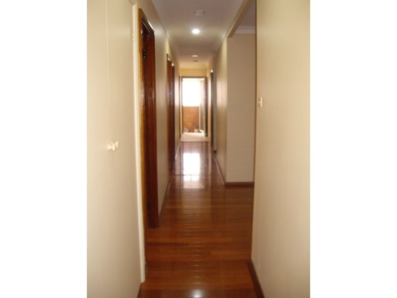 43 Metcalfe Street, Maroubra NSW 2035