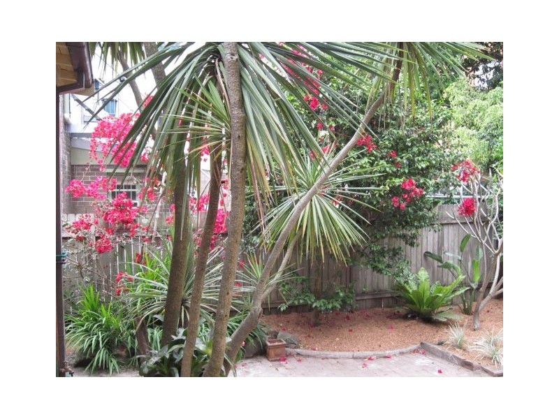 1/10 Carr Street, Coogee NSW 2034