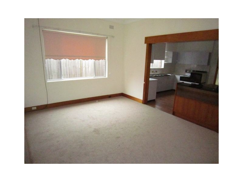 19 Robey Street, Maroubra NSW 2035