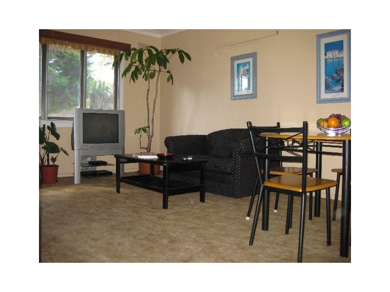 41 New Orleans Crescent, Maroubra NSW 2035