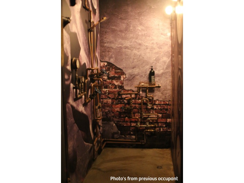 4/8-10 BURROWS ROAD, St Peters NSW 2044