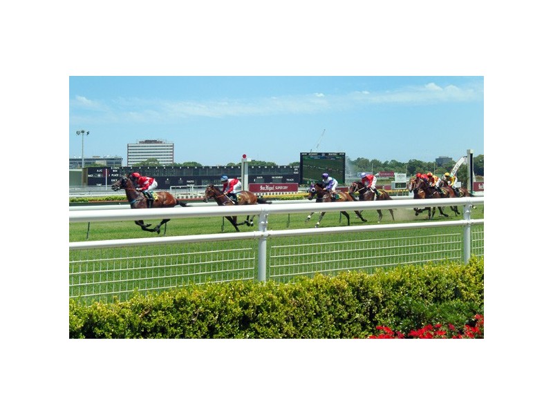 8/18-20 Houston Road, Kensington NSW 2033