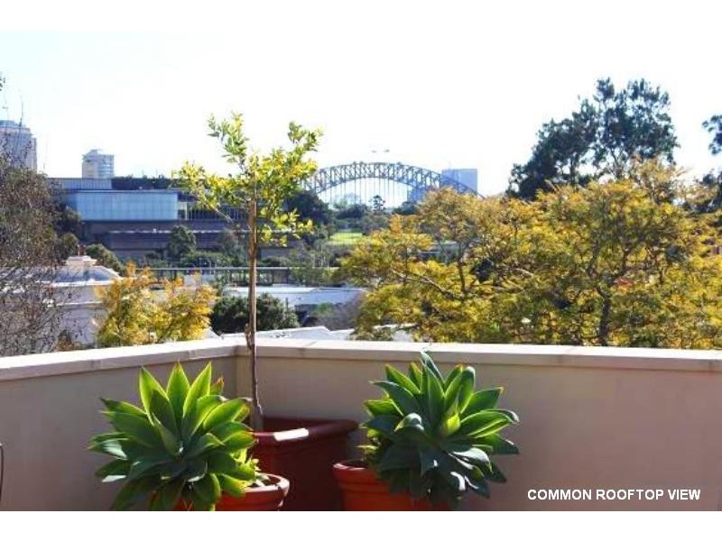 12/173 Cathedral Street, Woolloomooloo NSW 2011