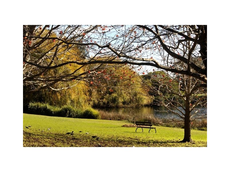 2/66-70 Boronia Street, Kensington NSW 2033