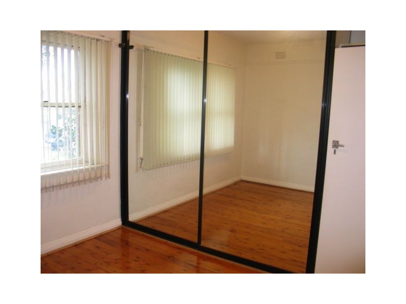 1/2 Paul Street, Bondi Junction NSW 2022