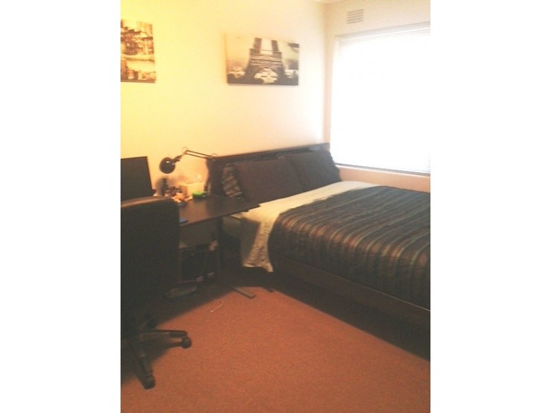 11/86 Botany Street, Randwick NSW 2031