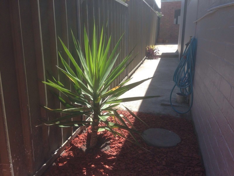 10 Johnson Street, Mascot NSW 2020