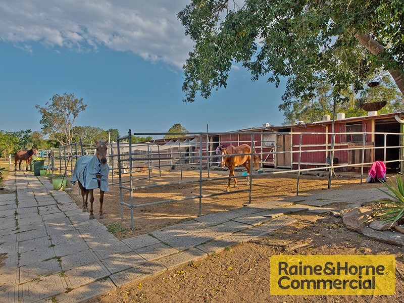 96 Desert Willow Way, Fitzgibbon QLD 4018