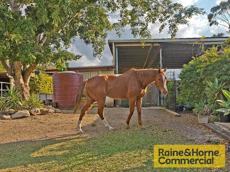 96 Desert Willow Way, Fitzgibbon QLD 4018