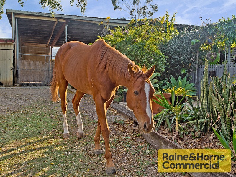 96 Desert Willow Way, Fitzgibbon QLD 4018