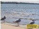 Deception Bay QLD 4508