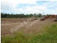 Tingalpa QLD 4173