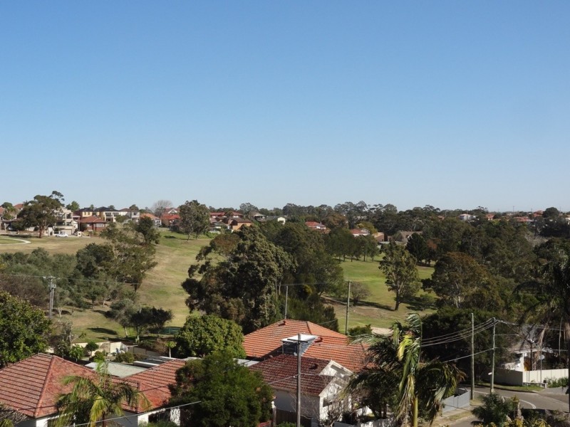 2a Virginia Avenue, Bardwell Valley NSW 2207