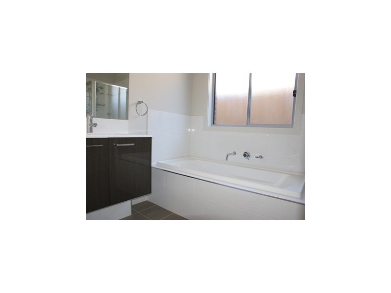 Bexley NSW 2207