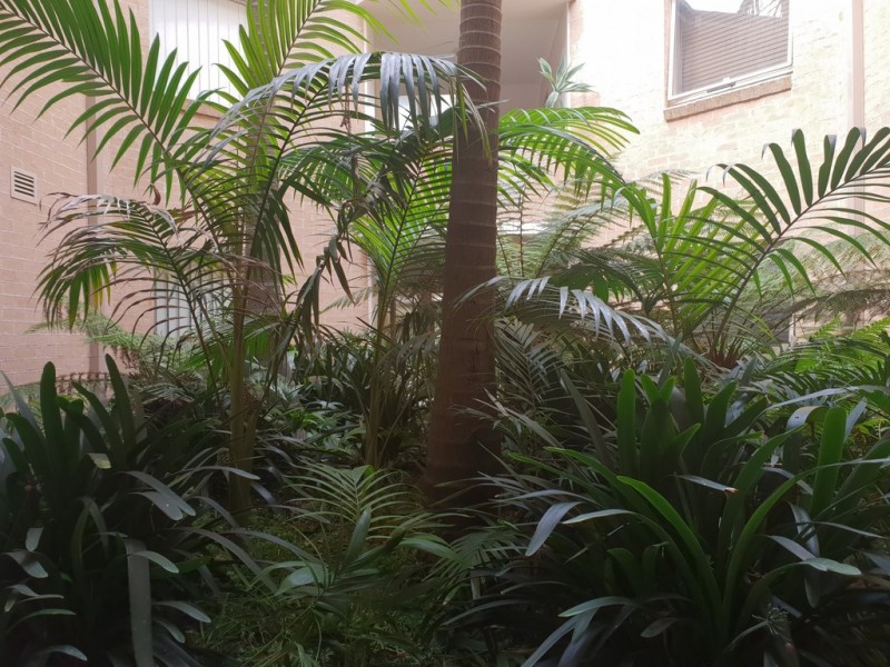 12/10-14 Kingsland Road, Bexley NSW 2207