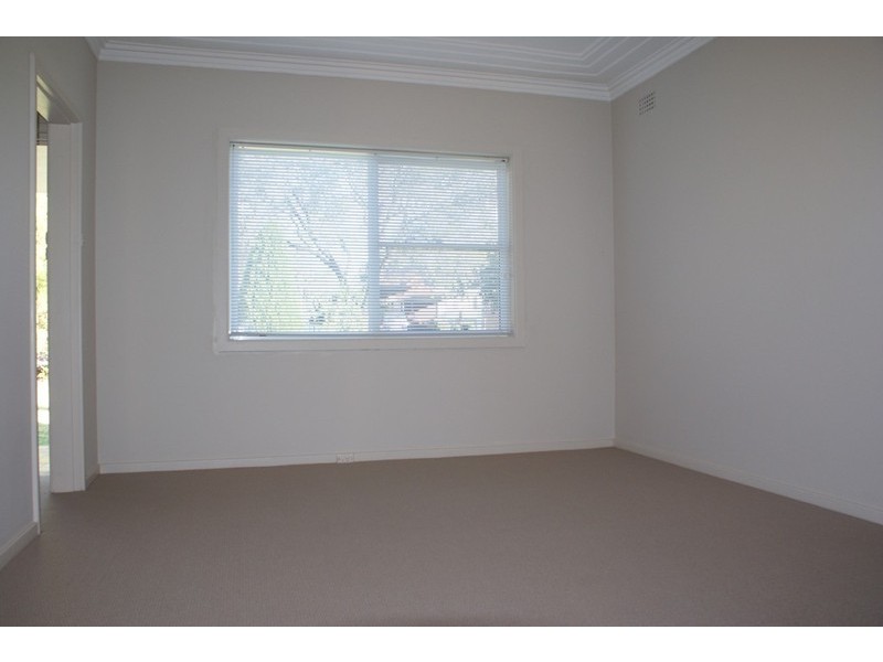 41 Turton Avenue, Clemton Park NSW 2206