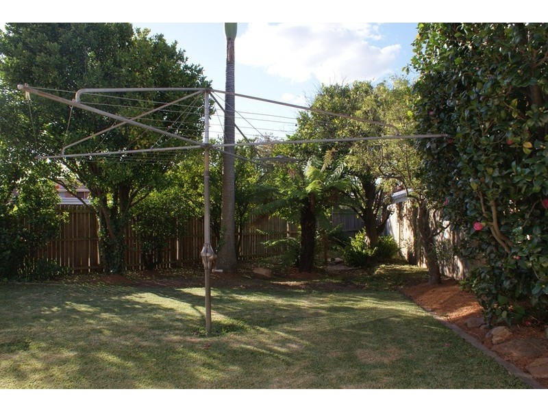41 Turton Avenue, Clemton Park NSW 2206