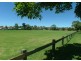 41 Turton Avenue, Clemton Park NSW 2206