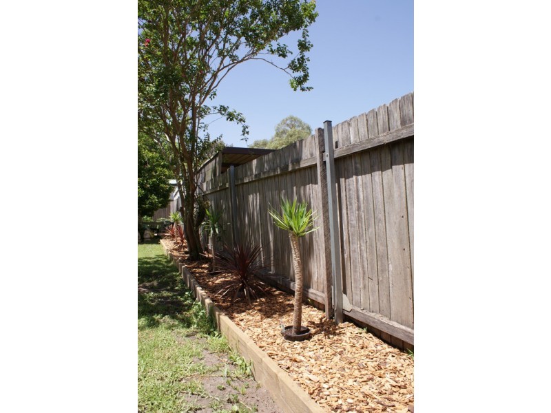 11 Downey Street, Bexley NSW 2207