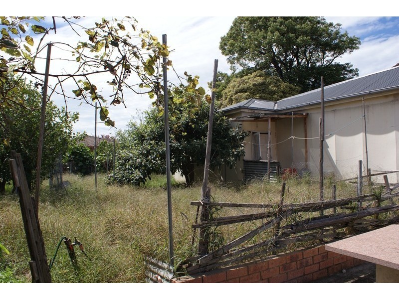 75 Frederick Street, Rockdale NSW 2216