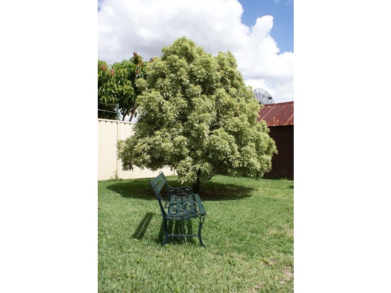 55 Tabrett, Banksia NSW 2216