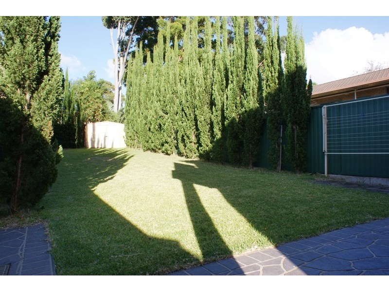 11 Waratah Street, Bexley NSW 2207