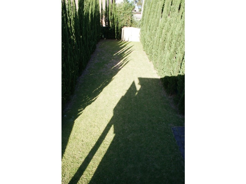 11 Waratah Street, Bexley NSW 2207