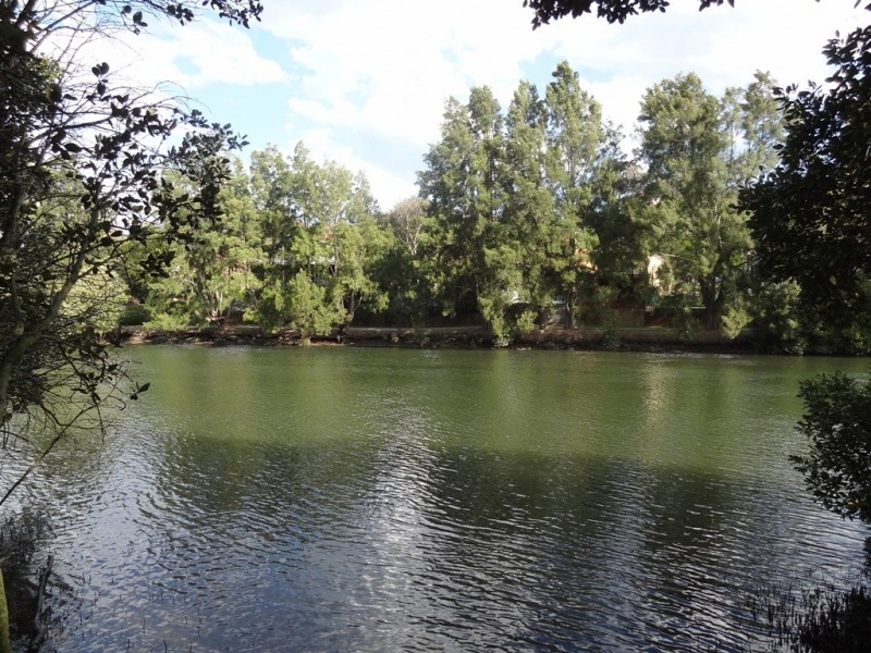 29/525 Illawarra Road, Marrickville NSW 2204