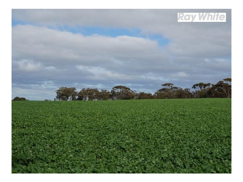 125 Westdale Road, Beverley WA 6304