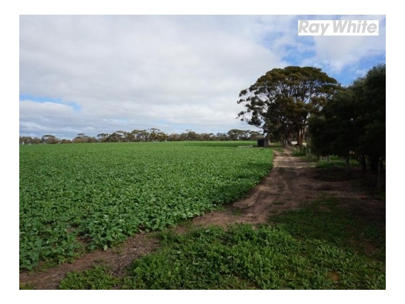 125 Westdale Road, Beverley WA 6304