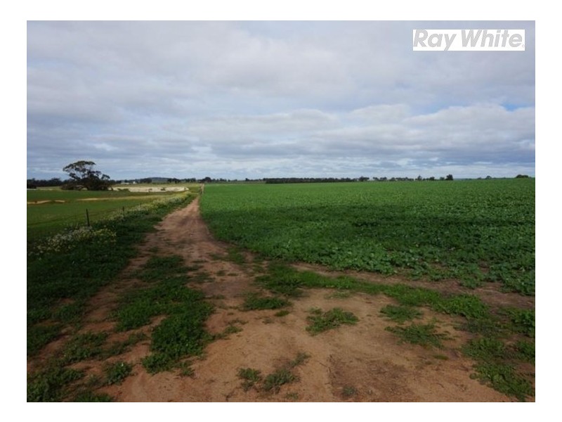 125 Westdale Road, Beverley WA 6304