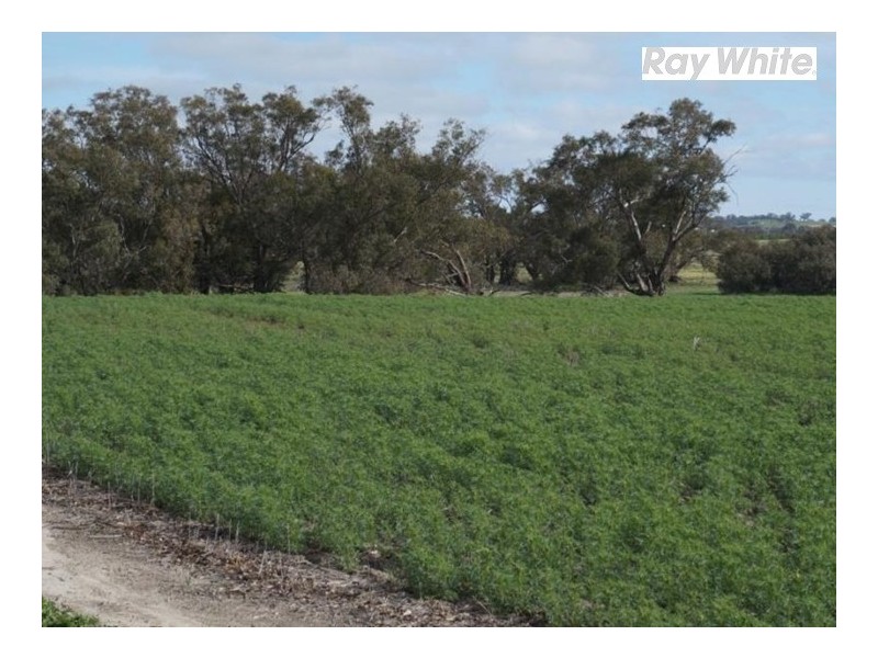 125 Westdale Road, Beverley WA 6304