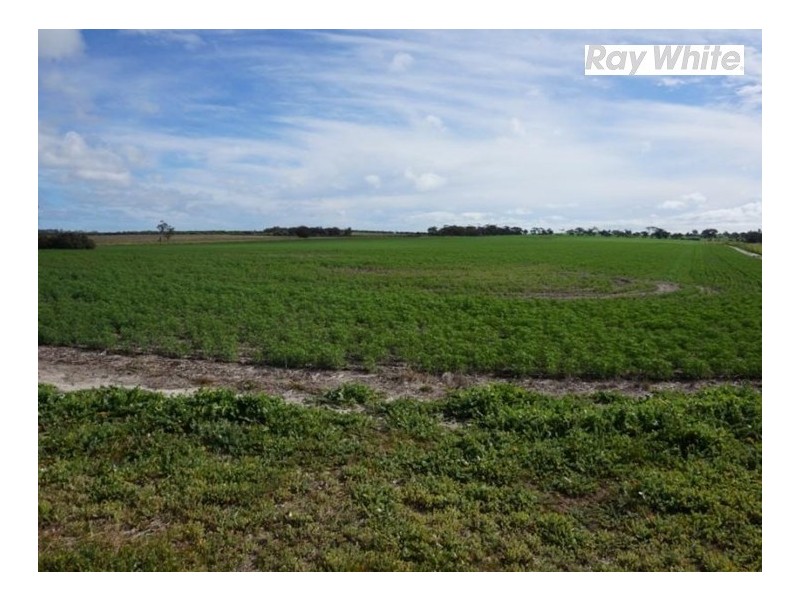 125 Westdale Road, Beverley WA 6304