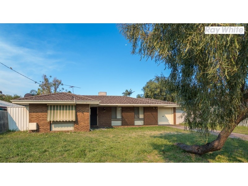 12 Silver Mallee Close, Camillo WA 6111