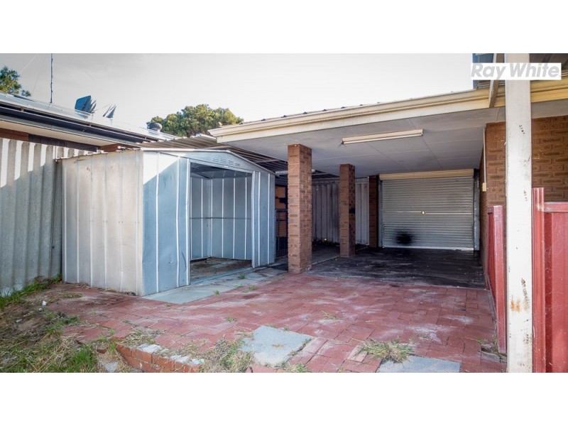 12 Silver Mallee Close, Camillo WA 6111