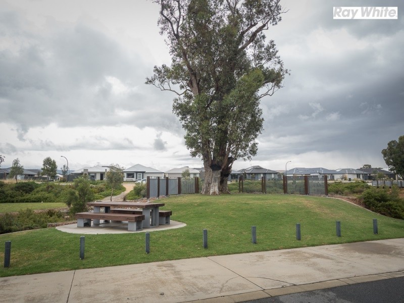 46 Burdekin Turn, Hilbert WA 6112