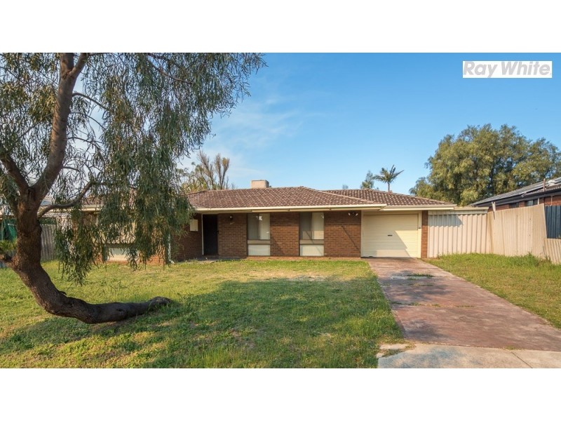 12 Silver Mallee Close, Camillo WA 6111