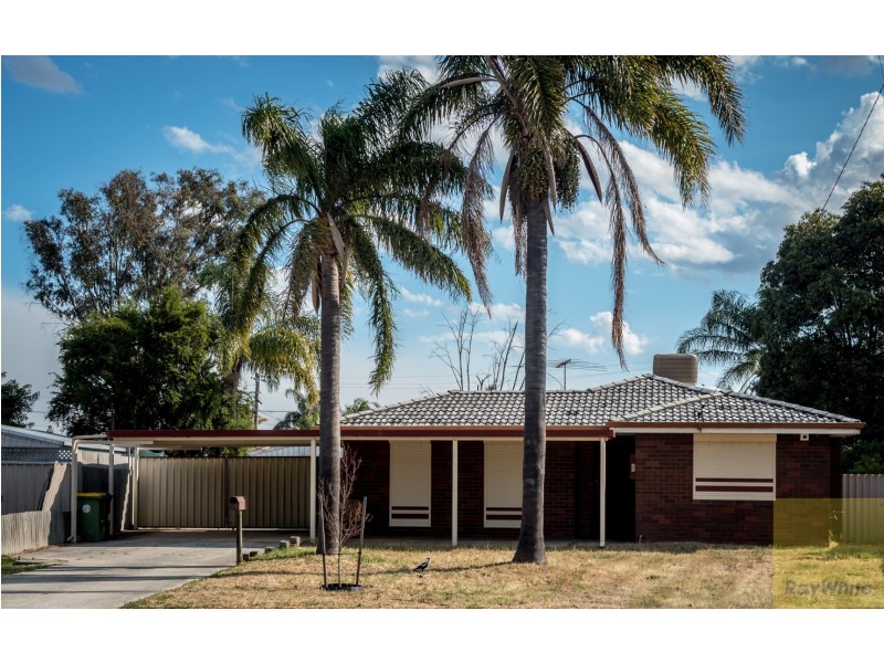 14 Bessant Court, Camillo WA 6111