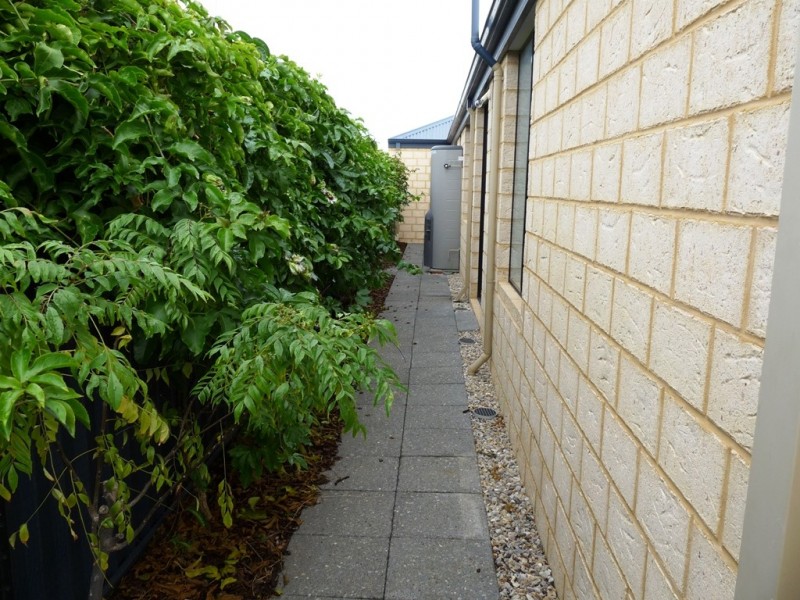 7 Tigereye Avenue, Byford WA 6122