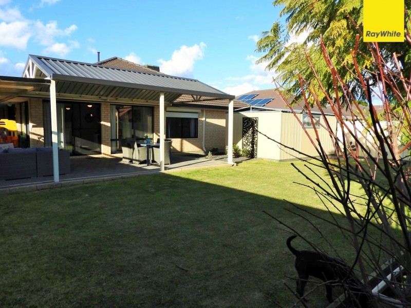 25 Lyrebird Loop, Seville Grove WA 6112