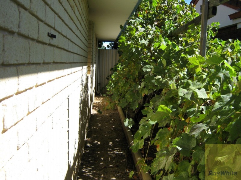 10 Junee Place, Armadale WA 6112