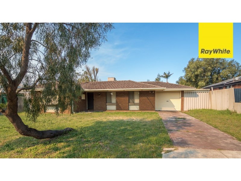 12 Silver Mallee Close, Camillo WA 6111