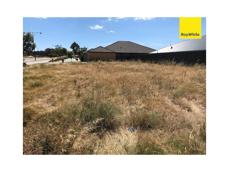 1 Ingarfield Green, Baldivis WA 6171