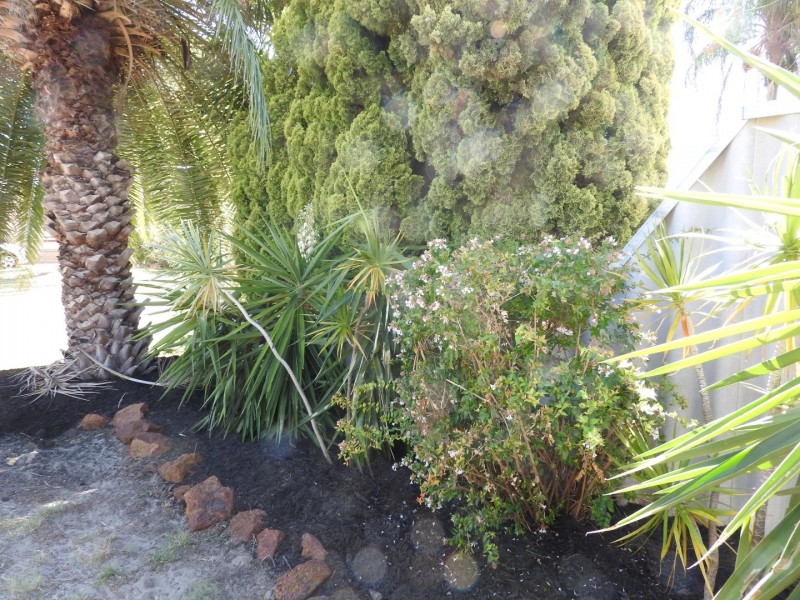 26 Candish Grove, Seville Grove WA 6112