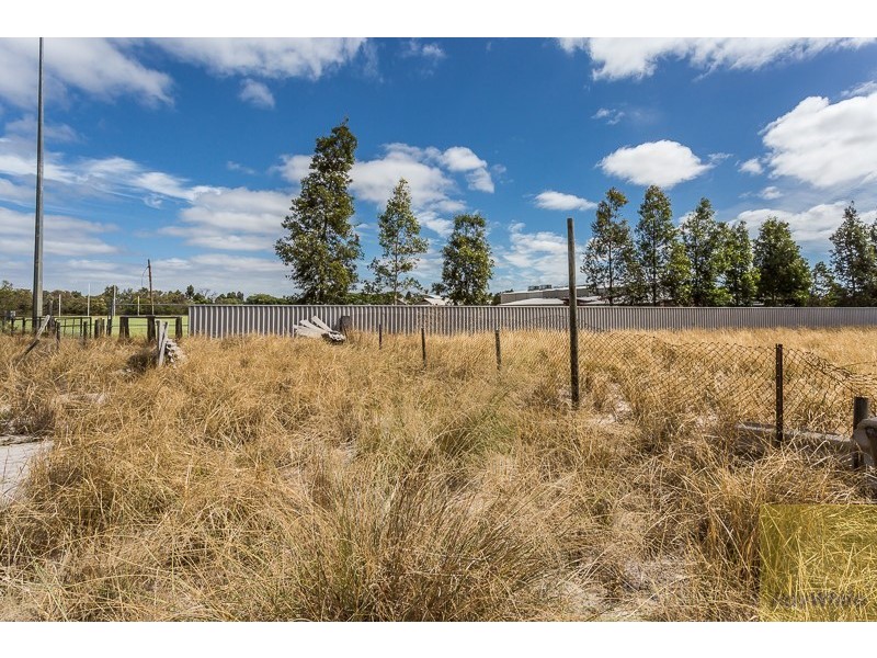 9 Shepherd Court, Harrisdale WA 6112