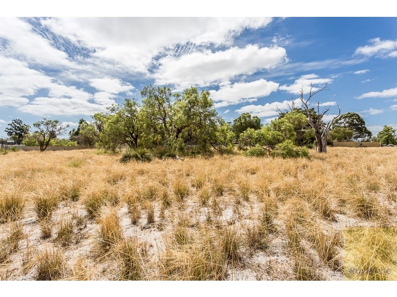 9 Shepherd Court, Harrisdale WA 6112